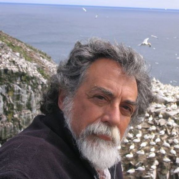 Meet your Posher, Mark - Picture 1 of 1